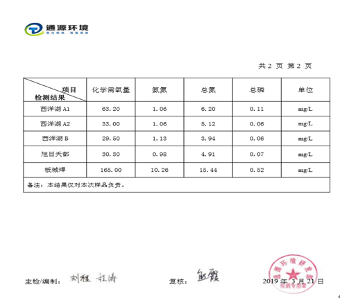 蕪湖旭日天都水體治理工程