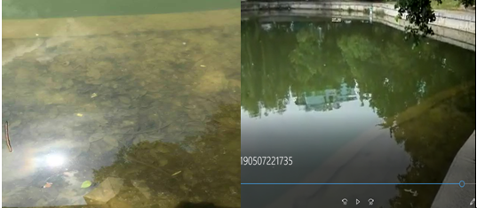【河道整治 】電鍍廢水整治計(jì)劃方案略談