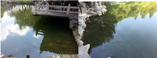 【黑臭水體治理】造紙廢水解決詳細(xì)說明及調(diào)節(jié)運(yùn)作關(guān)鍵點(diǎn)